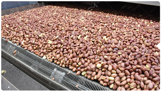 1 Peanut Roasting Machine.jpg